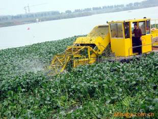 Water hyacinth salvage boat